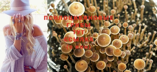 твердый Алексеевка